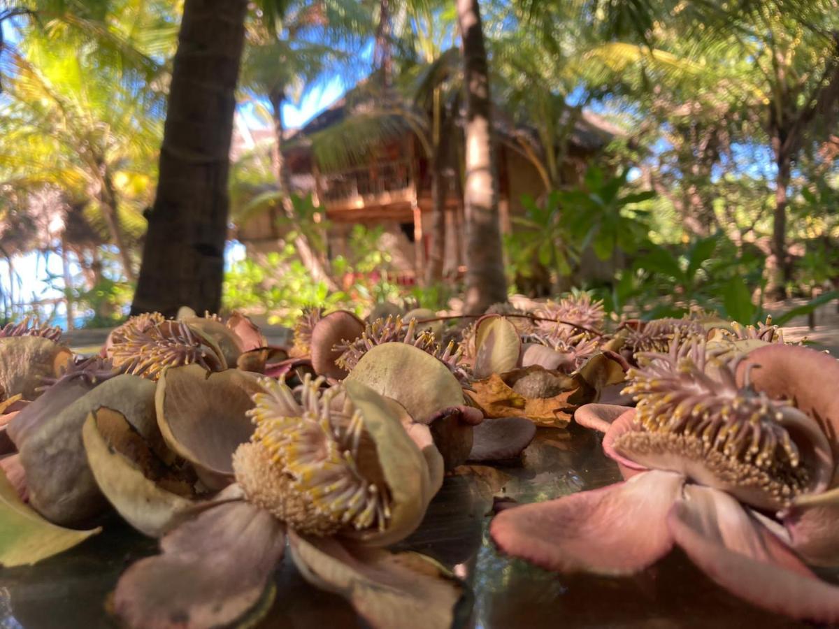 The Alpha Monkey Hotel & Tree House Tangalle Exterior foto