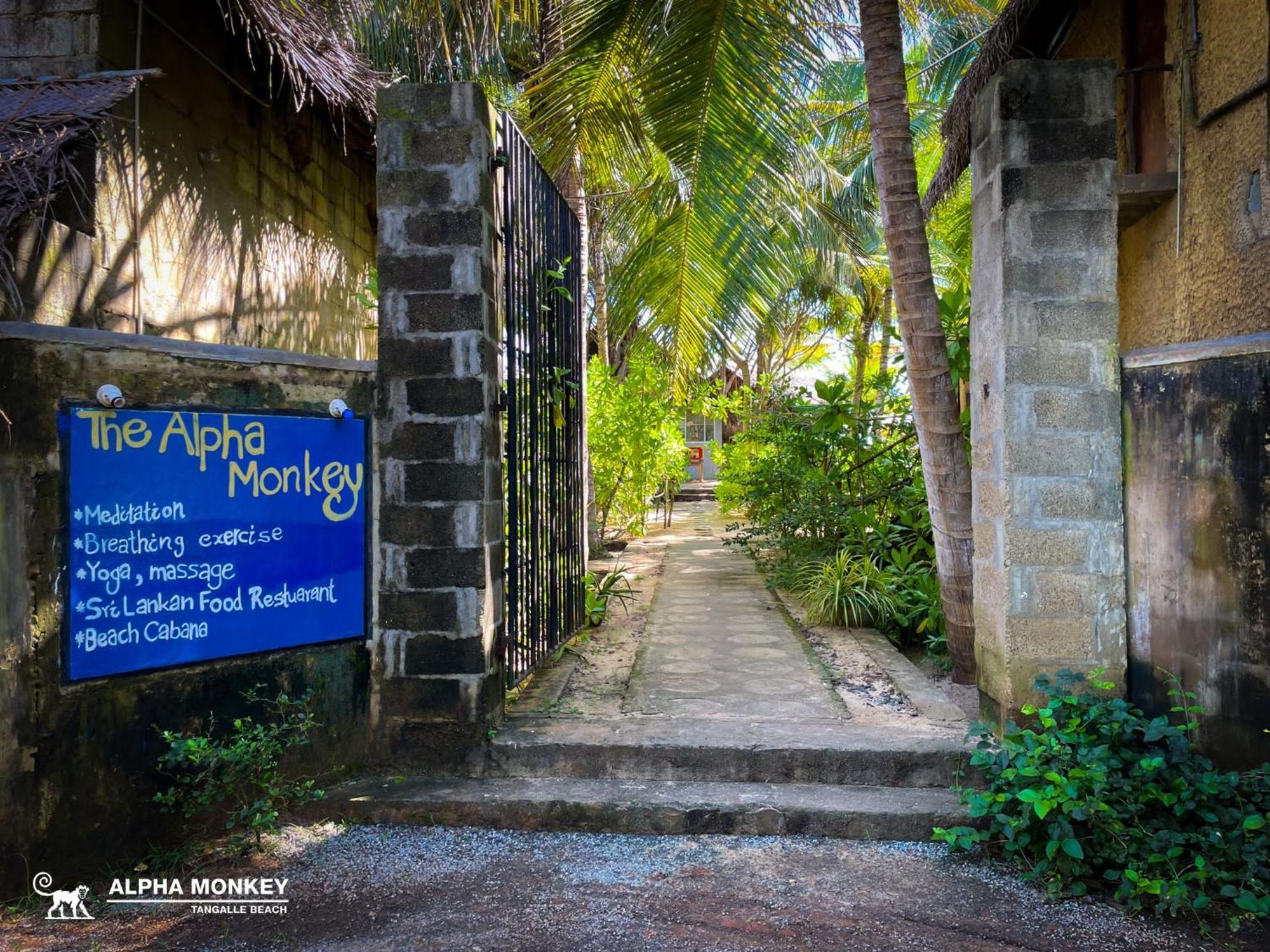 The Alpha Monkey Hotel & Tree House Tangalle Exterior foto