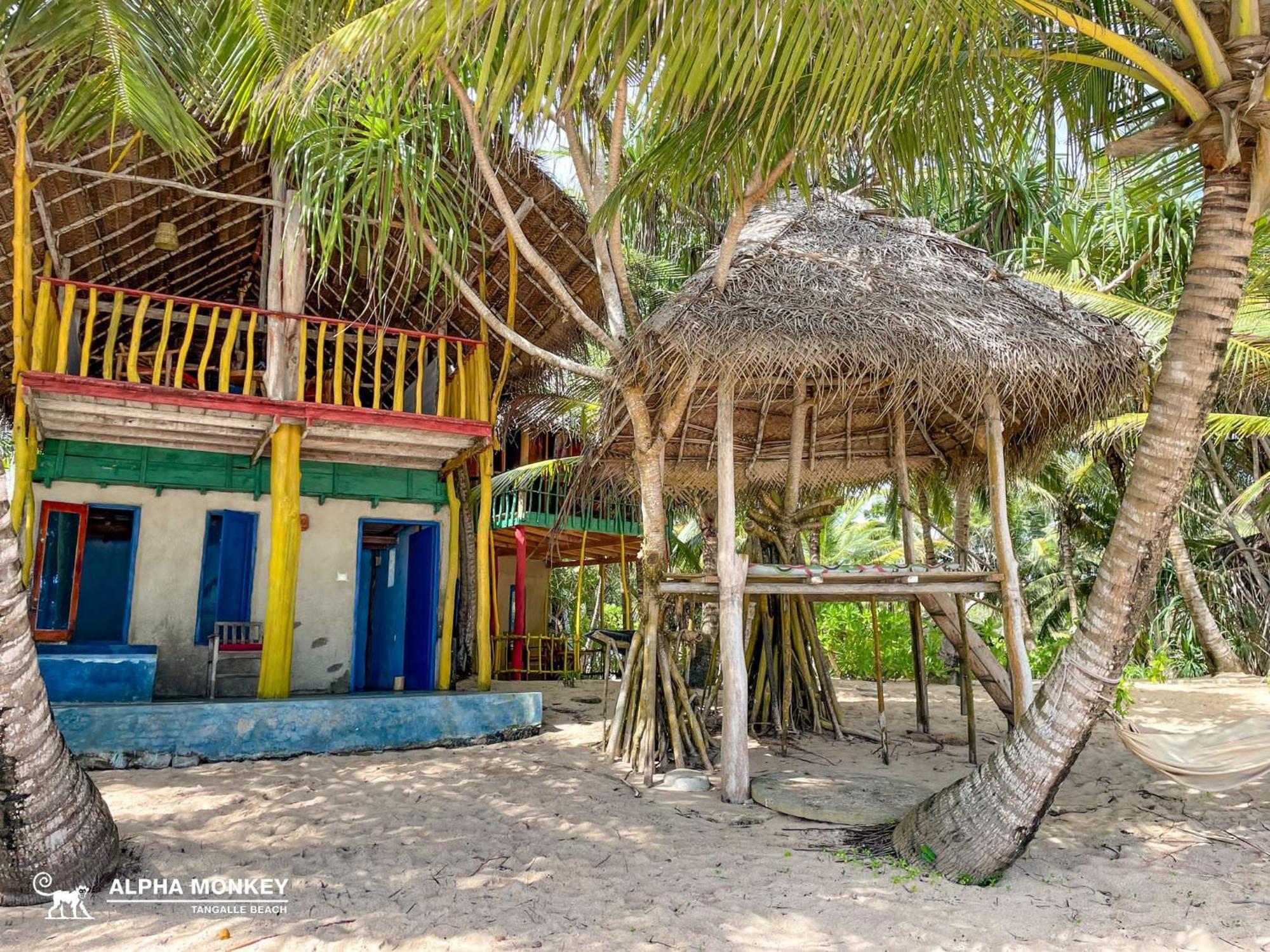 The Alpha Monkey Hotel & Tree House Tangalle Habitación foto