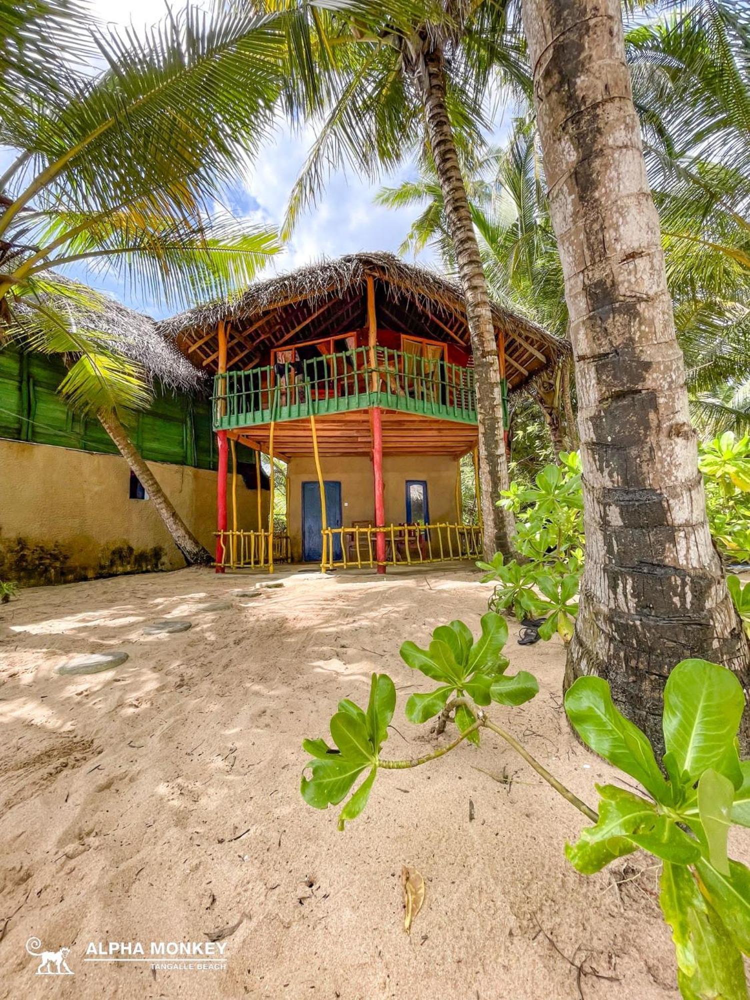 The Alpha Monkey Hotel & Tree House Tangalle Habitación foto